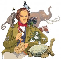 /album/ambientes-de-aprendizaje/darwin-evolucion-jpg/
