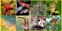 /album/ambientes-de-aprendizaje/evolucion-jpg/